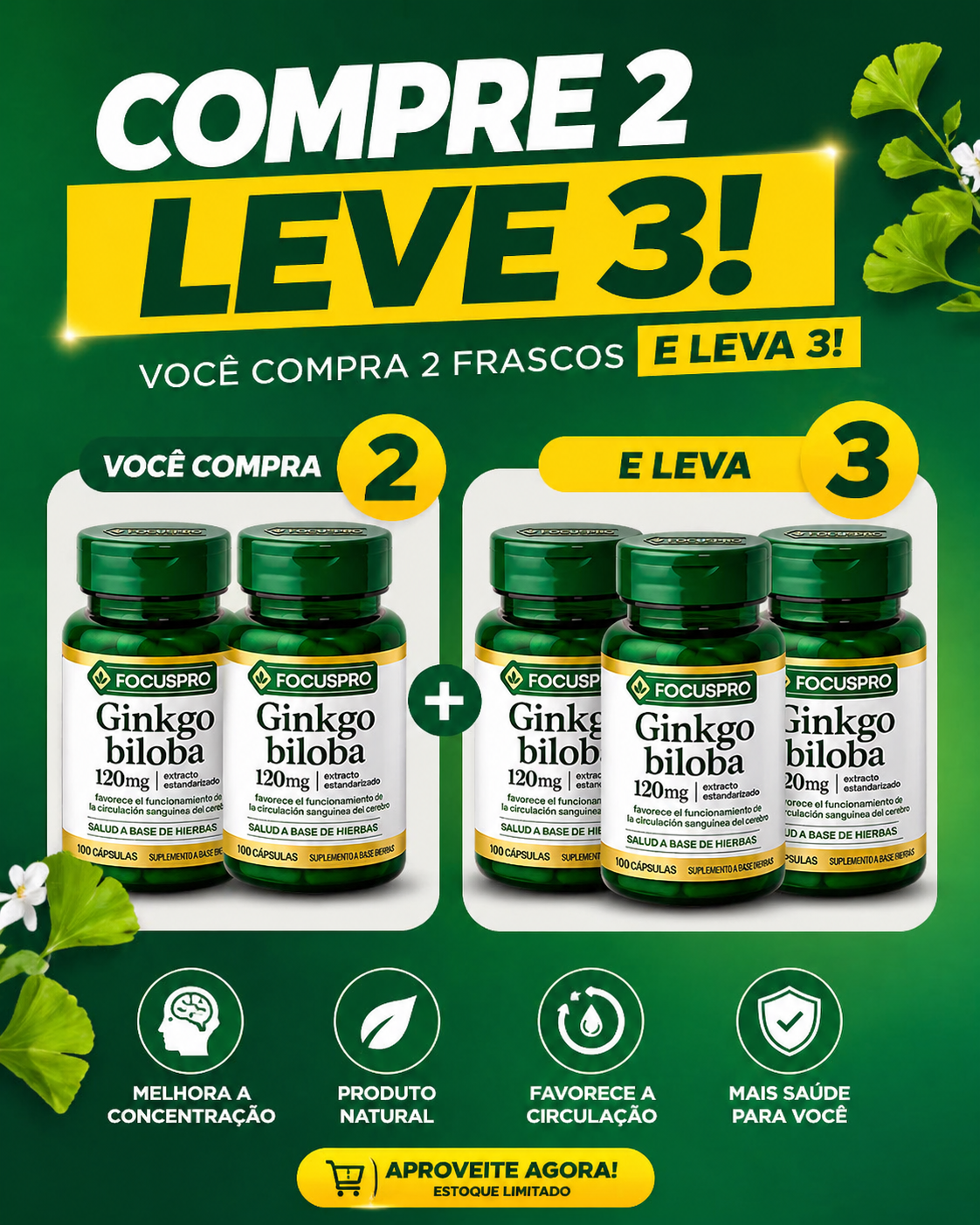 FOCUS PRO