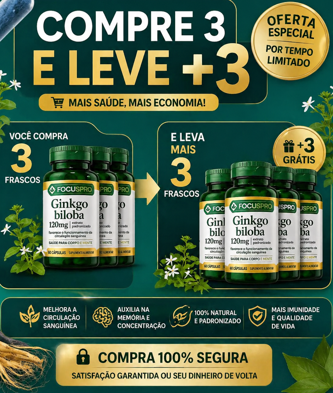 FOCUS PRO